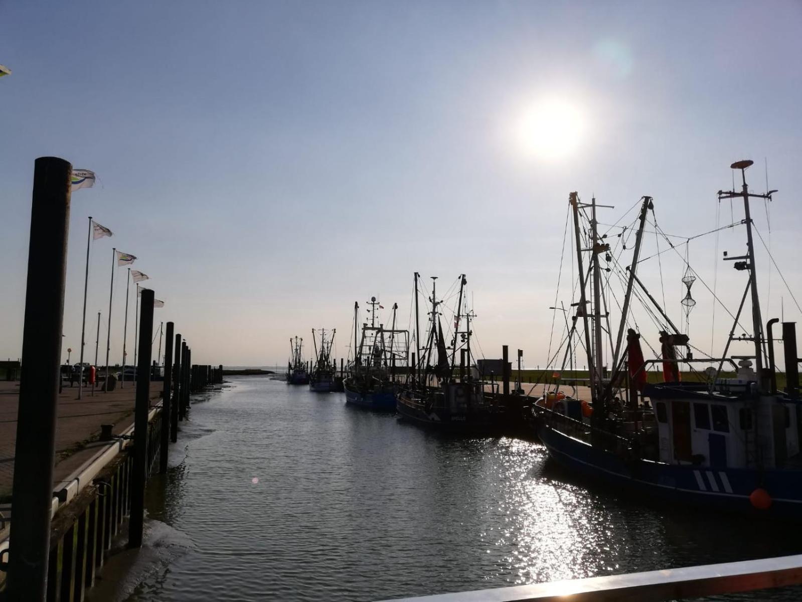 Ferienwohnung Alea, Zentrumsnah Bremerhaven Luaran gambar