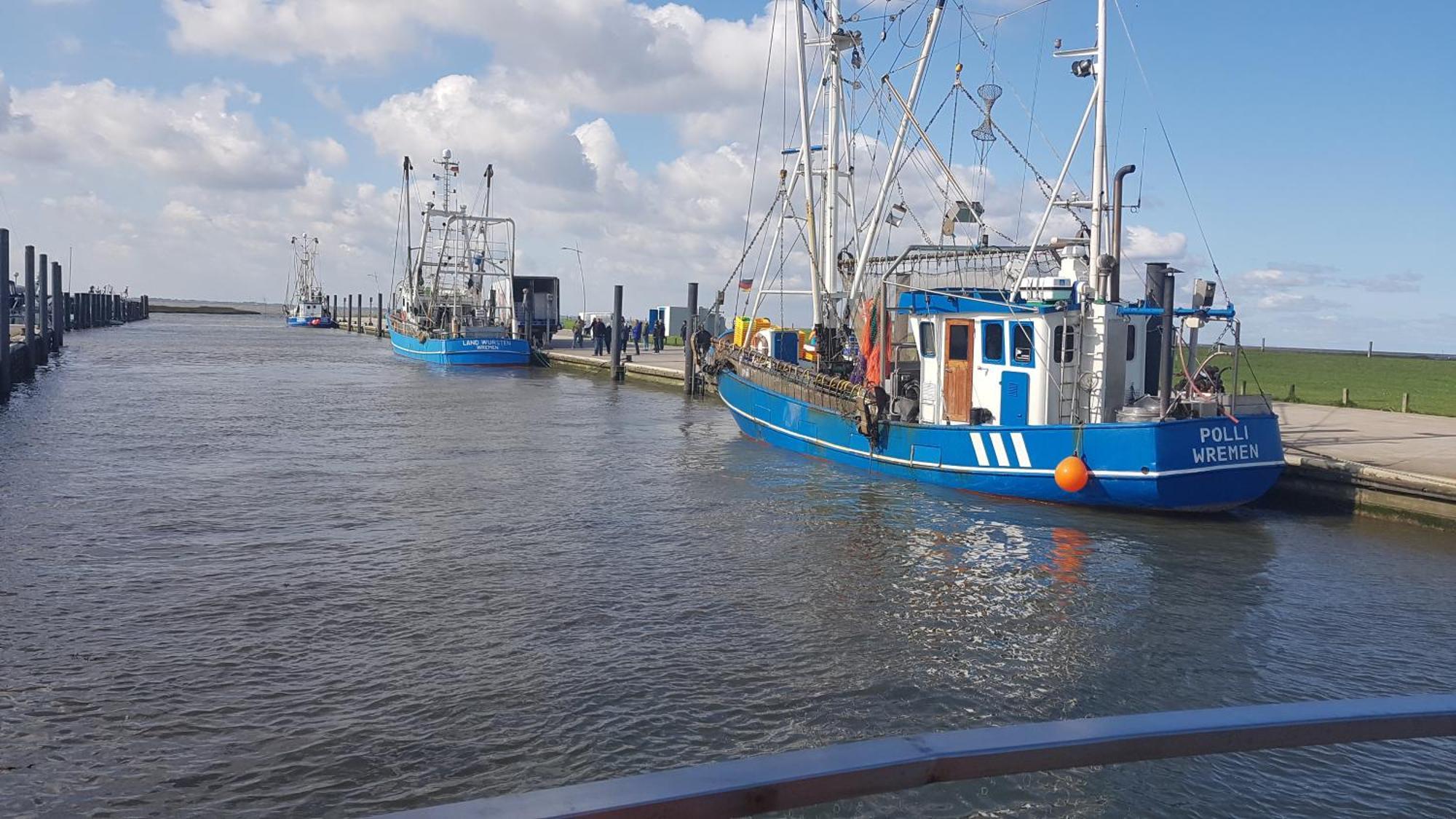 Ferienwohnung Alea, Zentrumsnah Bremerhaven Luaran gambar